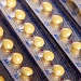 UN Leaders Encourage Fight for "Reproductive Rights"